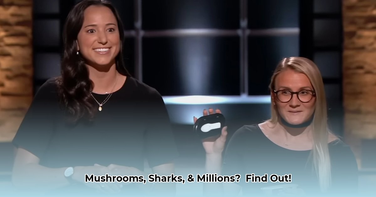 mush-shark-tank-net-worth